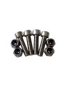 Stainless steel screws for RAM accessories